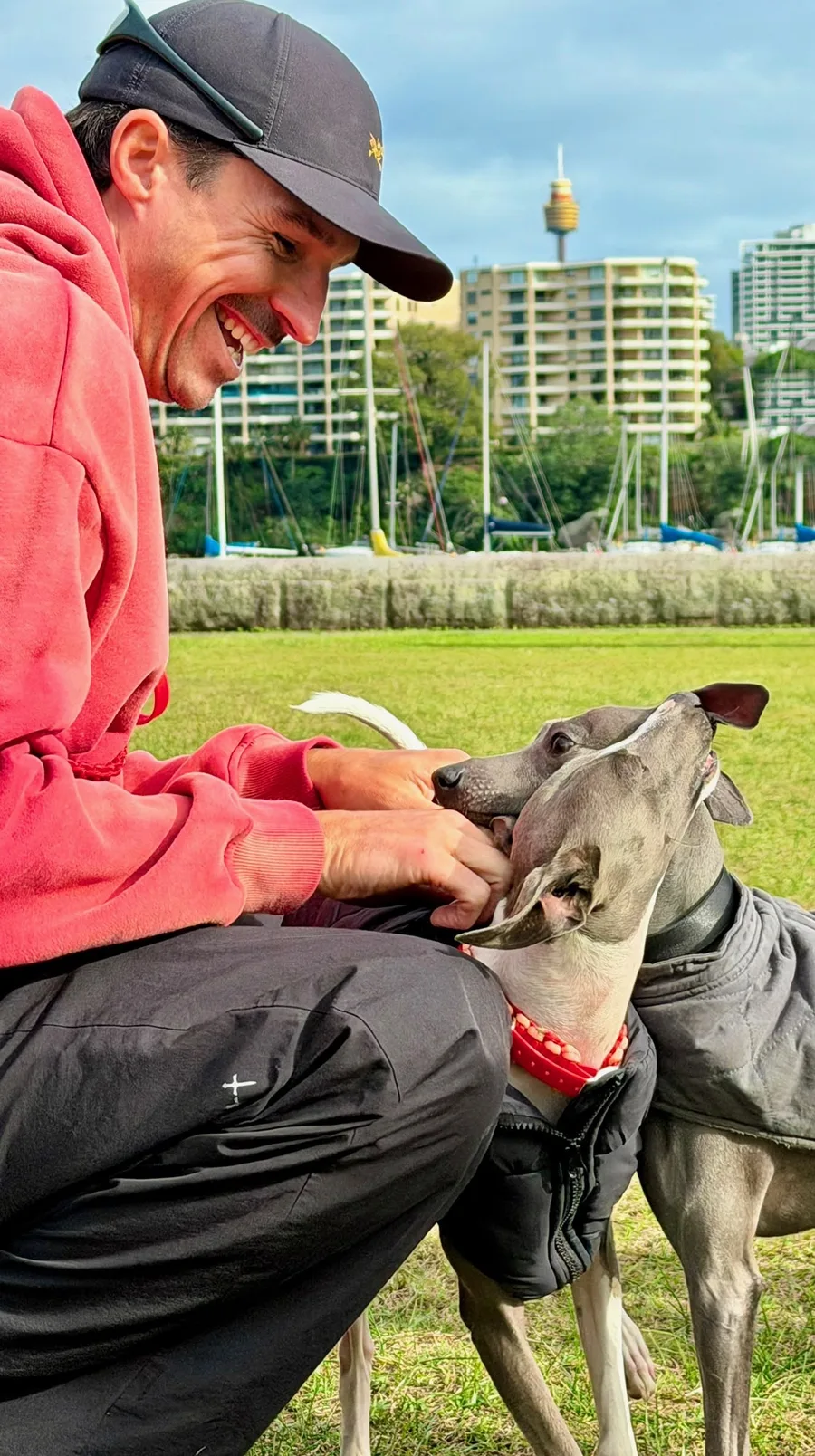 Pete Combes crouching on the grass in a Sydney park, laughing with two Italian Greyhounds
